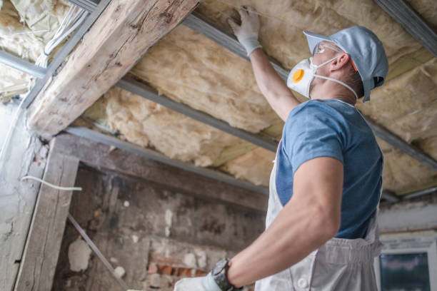 Best Spray Foam Insulation  in Lake Hamilton, AR